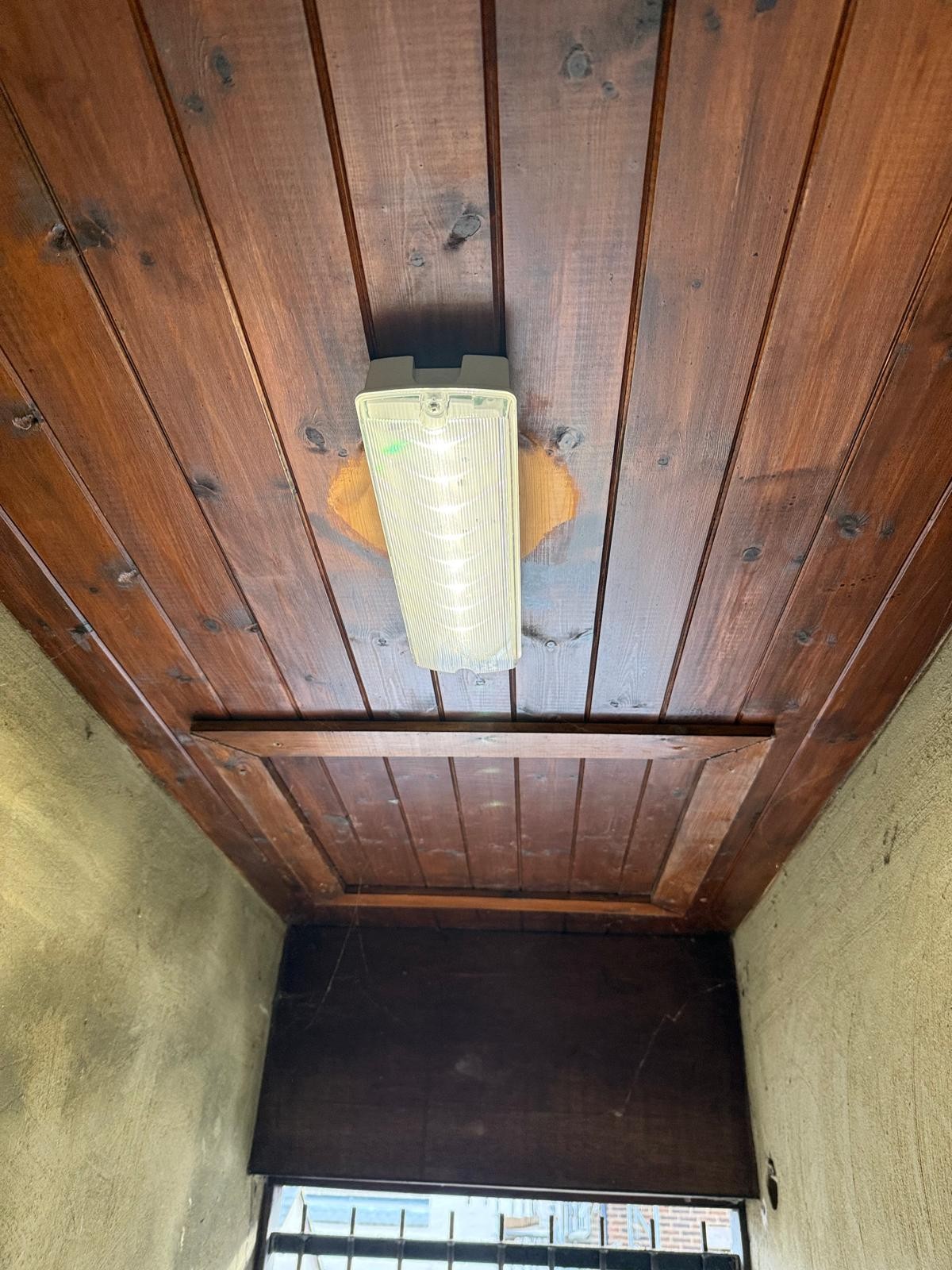 Faulty Emergency Light Replaced Esher