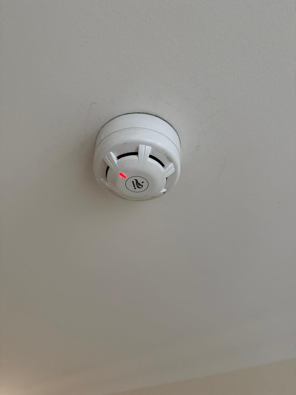 fire-safety detector during AOV maintenance in Lewisham