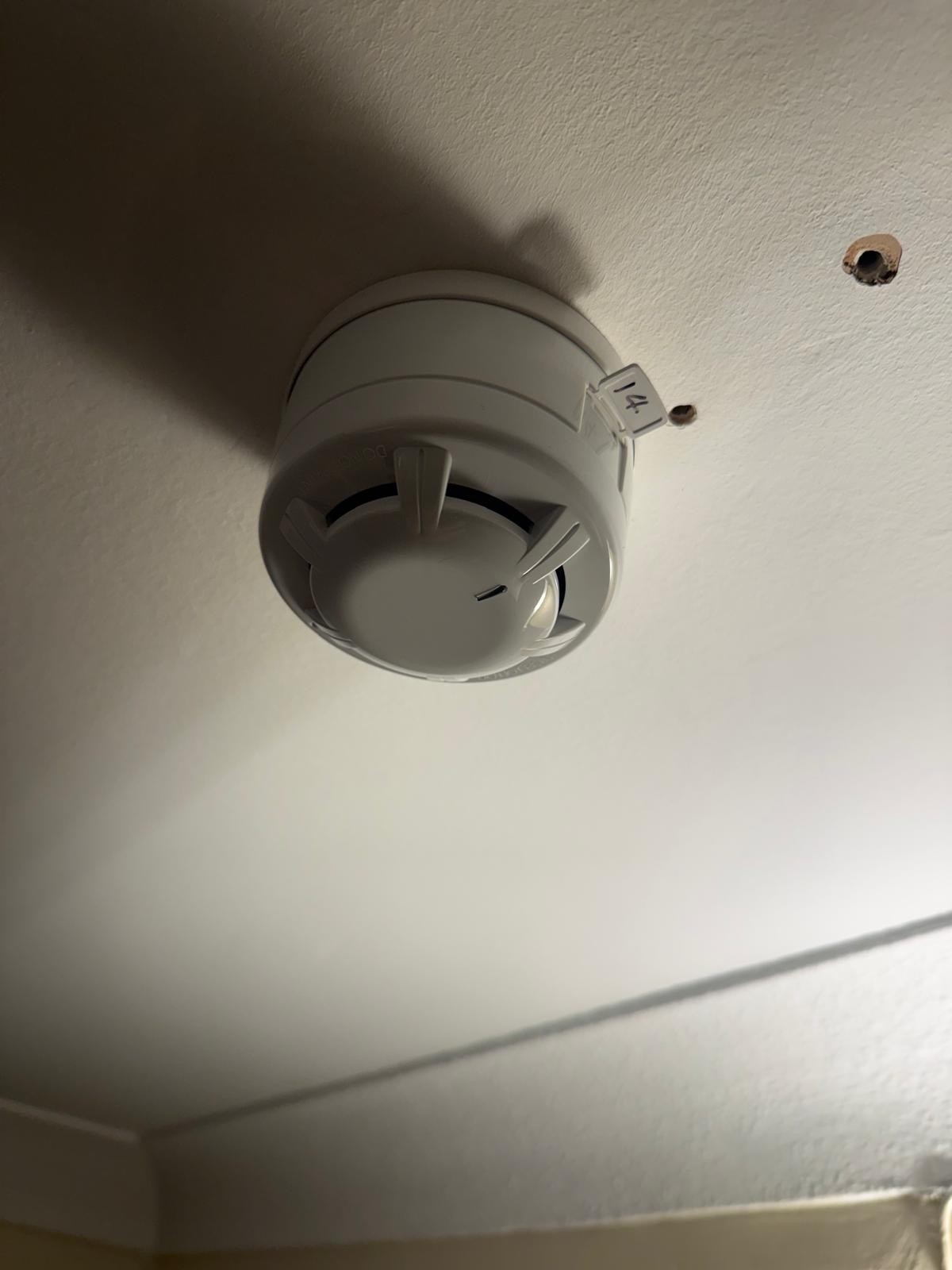 wireless smoke detector during wireless smoke detector work in Chelsea